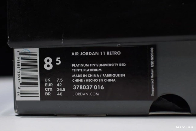 Jordan 378037-016 Platinum Tint Retro Air 11 0812